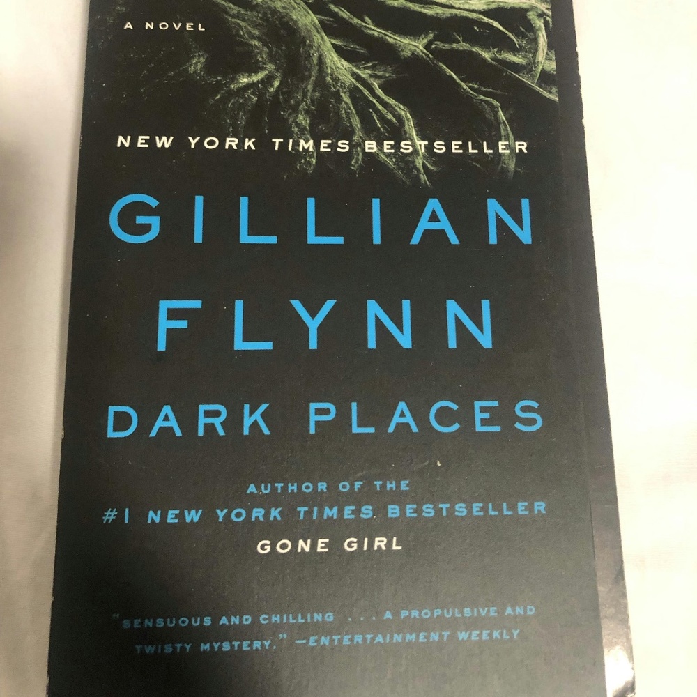 gillian flynn book dark places